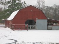 IMG_2901.jpg