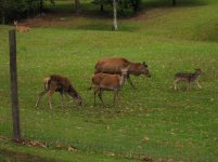 IMG_0479.jpg