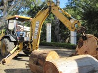 splitting wood.JPG