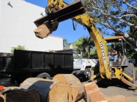 loading wood.JPG