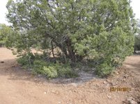 First trip to our ranch near Seligman 095.jpg