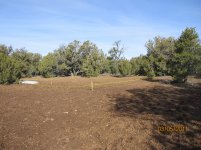 First official trip to Seligman 020.jpg