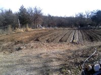 PlantingBeds.jpg