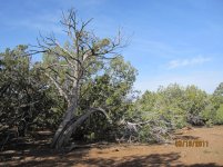 First trip to our ranch near Seligman 145.jpg
