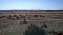 2011-03-28_08-47-21_491.jpg