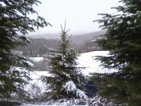 image-2519033618.png