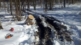 2011-02-20_14-02-24_270.jpg