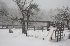IMG_6848.JPG