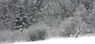 IMG_6944.JPG