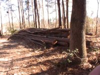 Land 11.10 068.jpg