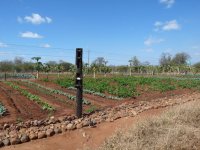 garden_fence_SA.jpg