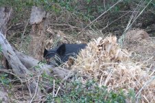IMG_0328.JPG