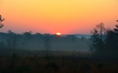 sunrise-20110320-5-1280x800.jpg