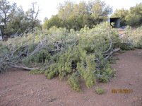 First trip to our ranch near Seligman 138.jpg