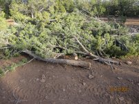 First trip to our ranch near Seligman 136.jpg