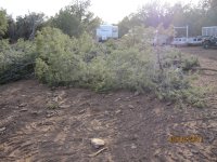 First trip to our ranch near Seligman 140.jpg
