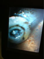 image-275891641.png