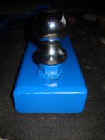 3-4-11 021.JPG