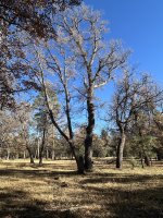 IMG_1058.jpeg