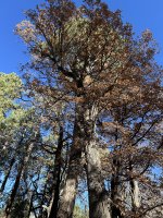 IMG_1056.jpeg
