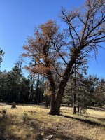 IMG_1044.jpeg