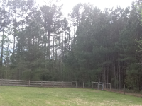 image-4005194688.png