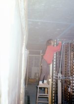 Mom up on the top of the ladder.jpg