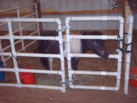 Animal%20pen2.jpg