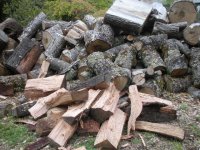 DSCN0930.JPG