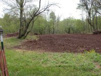 Orchard1.JPG