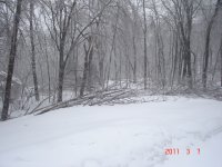 DSC03329.JPG