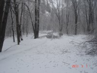 DSC03331.JPG