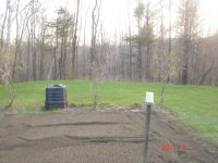 our garden-1.JPG
