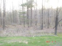 The Project area.JPG