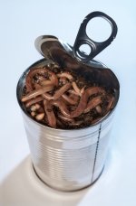 iStock_can-of-worms-749944.jpg