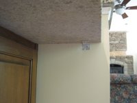 IMG_1513.JPG