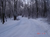 DSC03336.JPG