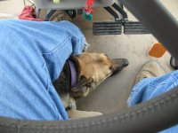 IMG_0854.jpg