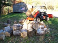 Wood Bota 006.jpg