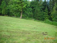 6-23-10 019.JPG