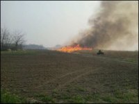 CRPburn2011.jpg