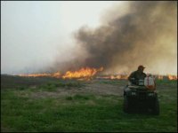 CRPburn2011a.jpg