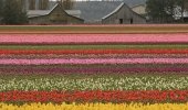 field_west_012_thumb-170x100.jpg