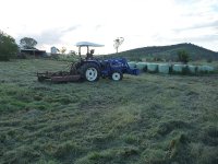 P1040540 800x600.JPG