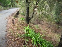 driveway_repair_6.jpg