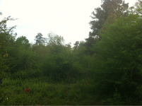 image-326423073.png