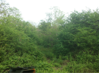 image-211423298.png