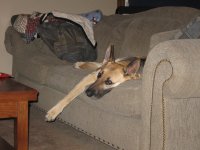 IMG_0866.jpg