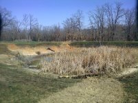 Smallpond.jpg