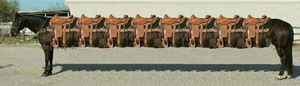 long horse.jpg
